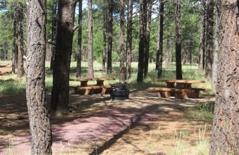 Kaibab National Forest Kaibab Lake Campground, Williams, AZ - GPS, Campsites, Rates, Photos ...