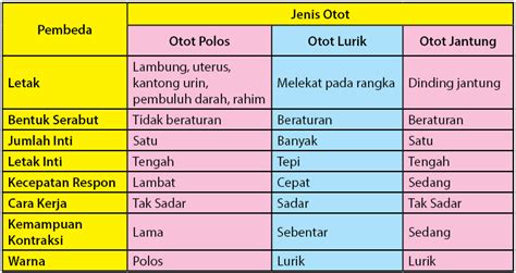 Mengenal Lebih Dekat Jenis-Jenis Otot - Biologi Edukasi: Belajar Sains Biologi