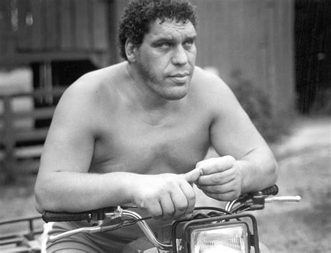 'André the Giant' Nonfiction Graphic Novel Getting the Film Treatment ...