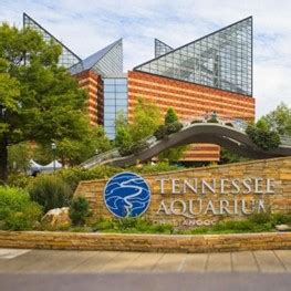 Tennessee Aquarium | Tuesday, Oct. 24th « Smoky Mountains Mobility ...