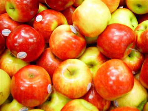 Free picture: shiny, red apples