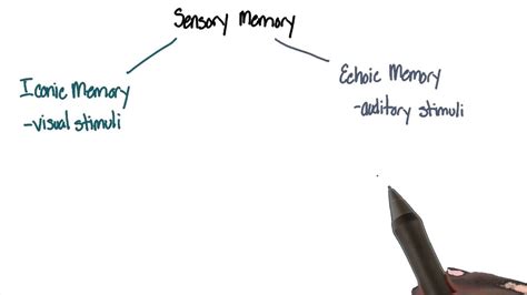 Sensory memory - Intro to Psychology - YouTube