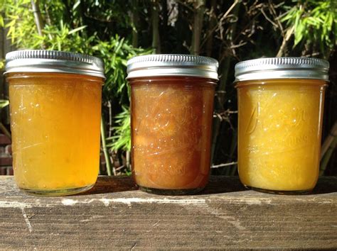 Fruit jams are a taste of summer that will please all winter - oregonlive.com