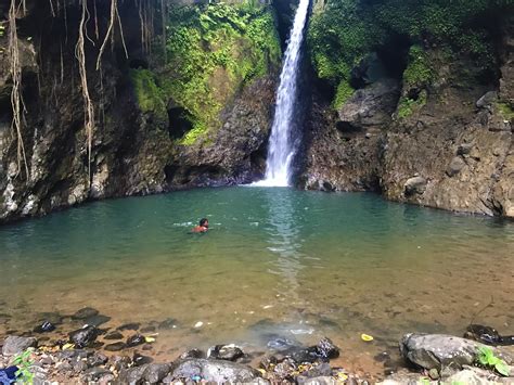 Awesome waterfall and natural pool in St. Lucia : r/StLucia