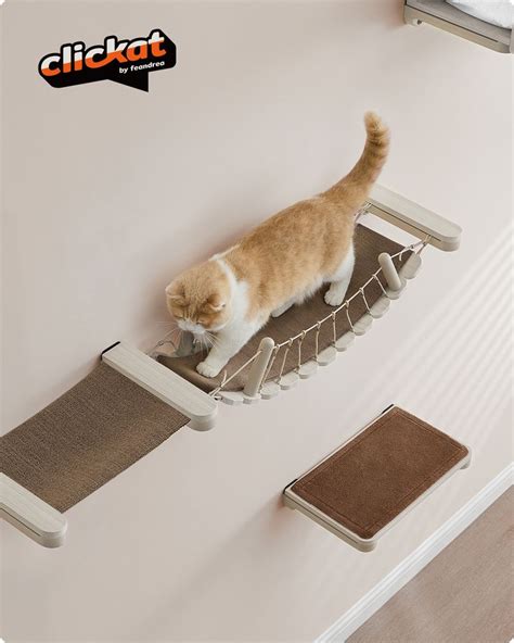 DIY Cat Wall Furniture: A Guide to Creating Vertical Play Spaces for ...