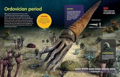 ordovician animals - Google Search in 2020 | Nautilus, Animals, Armor