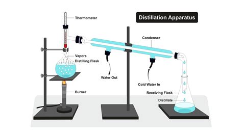 How do you calculate the efficiency of steam distillation? - Principle