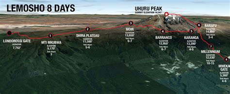 Kilimanjaro Treks | Lemosho Route | The Most Scenic Route on Kilimanjaro