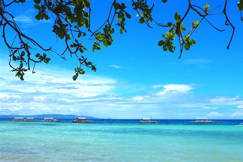 Visit Libaong: 2024 Travel Guide for Libaong, Panglao | Expedia