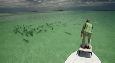 Fly Fishing For Tarpon in Key West, and Florida Keys | World Angling