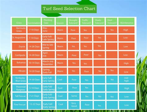 Scotts Lawn Maintenance Calendar – Calendar Template 2019