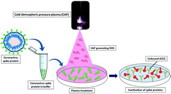 Cold atmospheric pressure plasma for attenuation of SARS-CoV-2 spike ...