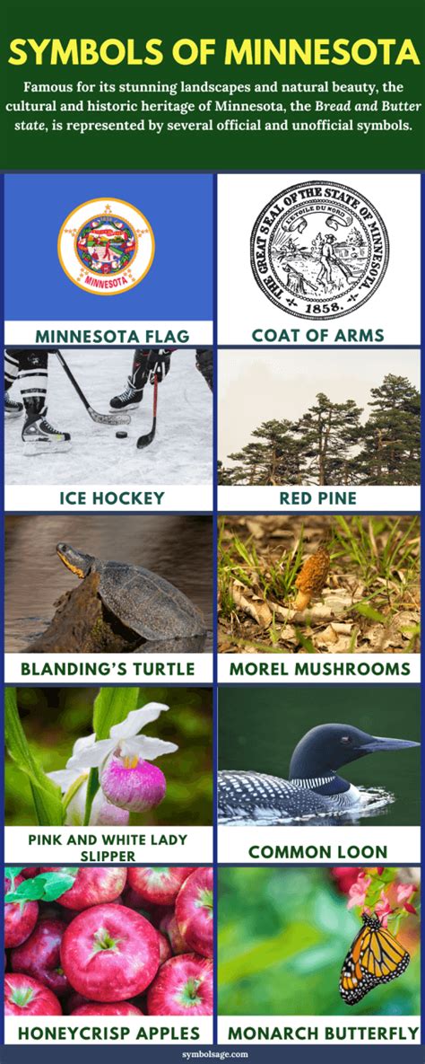 Symbols of Minnesota – A List - Symbol Sage