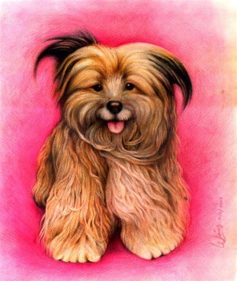 Art and Lore: Mochi the Dog Mochi, Colored Pencils, Dogs, Illustration ...