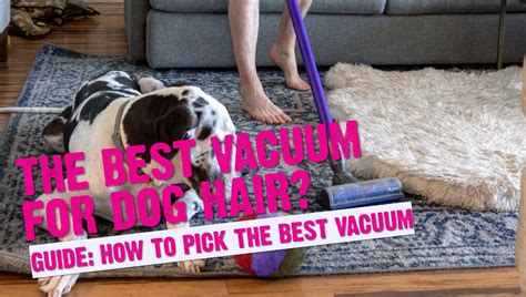 How To Pick The Best Vacuum Cleaner For Dog Hair