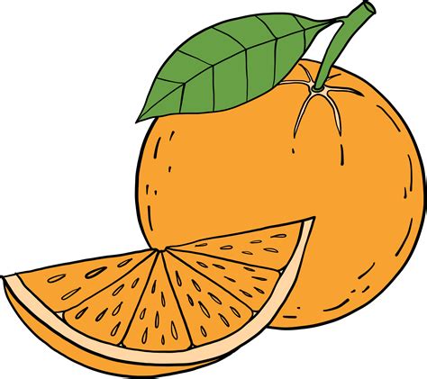 doodle freehand sketch drawing of orange fruit. 10996405 PNG