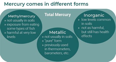 Mercury in the Garden | NC State Extension