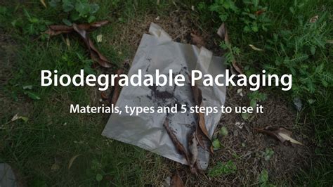 Biodegradable Packaging Materials Types And Steps To Use It