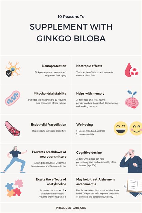 What Does Science Say About Ginkgo Biloba's Benefits? - Intelligent Labs