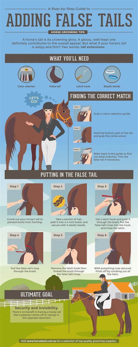 Horse Grooming Tips - A Step-by-Step Guide to Adding False Tails | Horse grooming, Horse facts ...