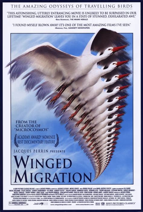 Winged Migration Movie Posters From Movie Poster Shop