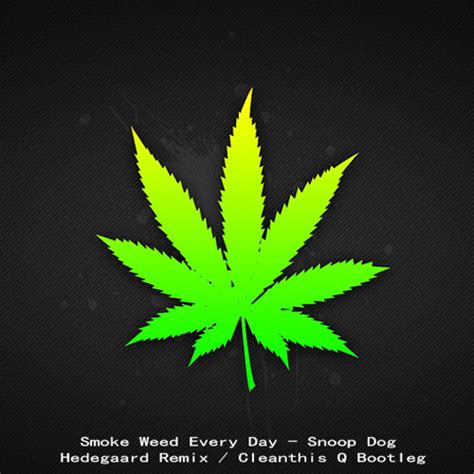 Snoop Dogg Smoke Weed Everyday