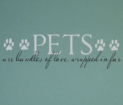 Pets Are Family Quotes. QuotesGram