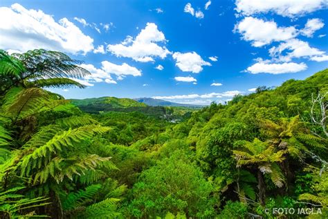 Neuseeland (Nordinsel) - Waimangu Volcanic Valley | Neuseeland, Neuseeland nordinsel, Neuseeland ...