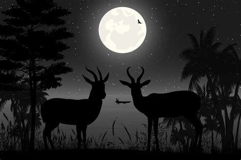 Cute Deer and Moon Silhouette Landscape Graphic by curutdesign ...