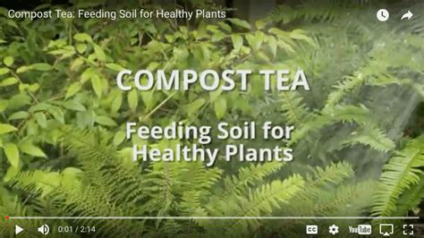 Compost tea has great benefits for your garden - In Harmony Sustainable Landscapes