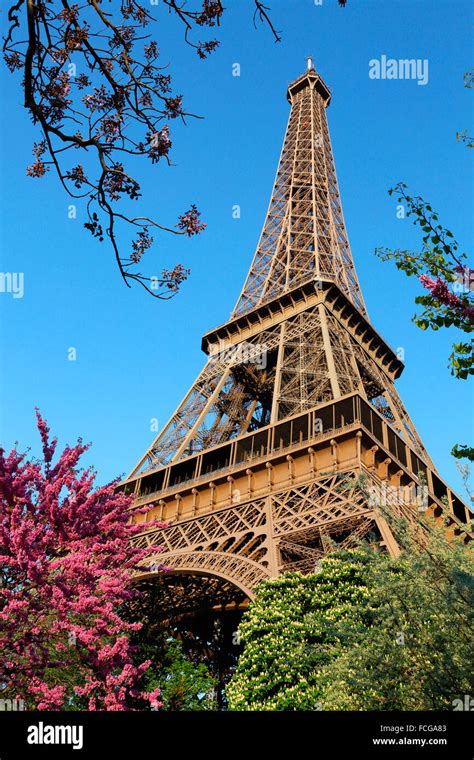 Eiffel Tower and blossoming trees, Paris, France Stock Photo - Alamy