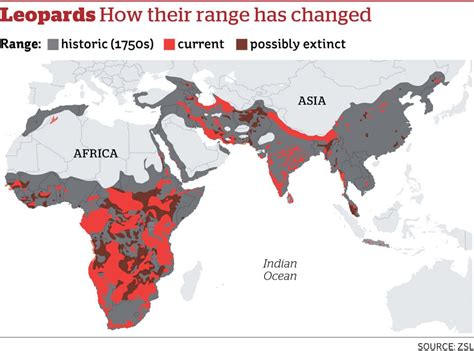 Leopards have lost 75% of their natural habitat since 1750