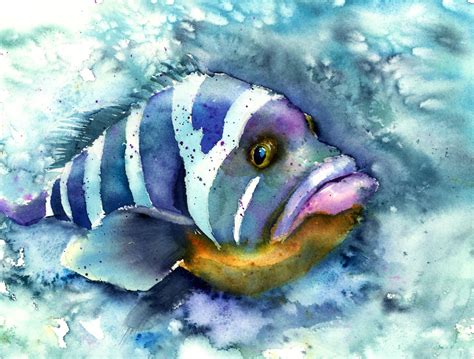 Pin on Aquarelle poisson