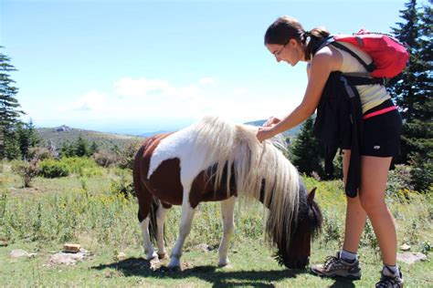 The Hiking Hokie: Mount Rogers