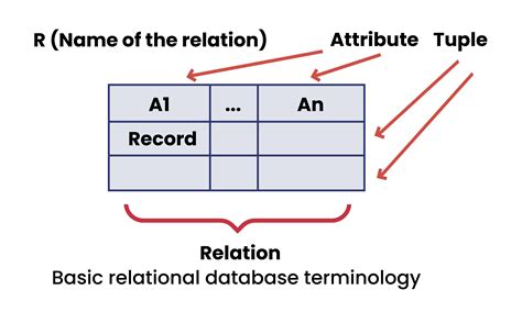 Which Best Describes a Column in a Relational Database Table