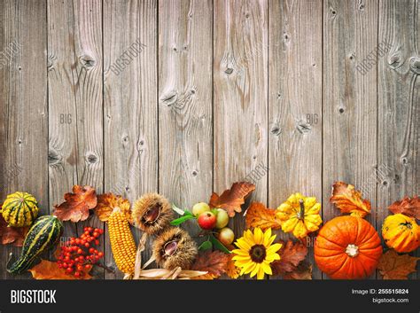 Harvest Thanksgiving Image & Photo (Free Trial) | Bigstock