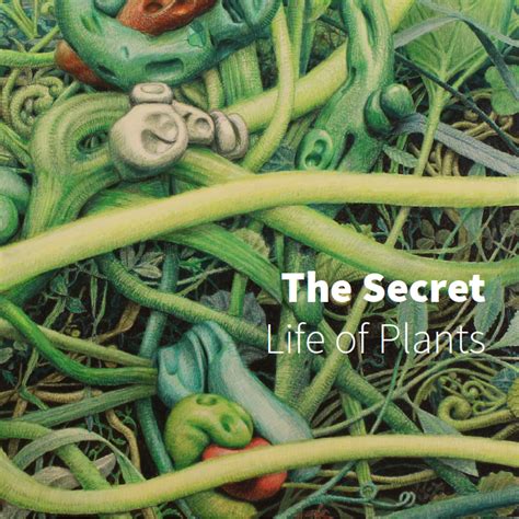 The Secret Life of Plants | 2017 - Publications - Freight+Volume