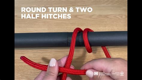 How to Tie a Round Turn and Two Half Hitches - YouTube