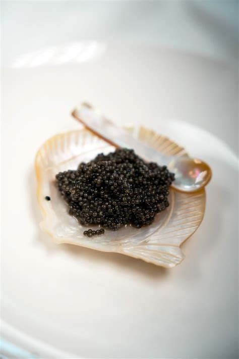 Buy Fresh Paddlefish Caviar Online from North American Caviar