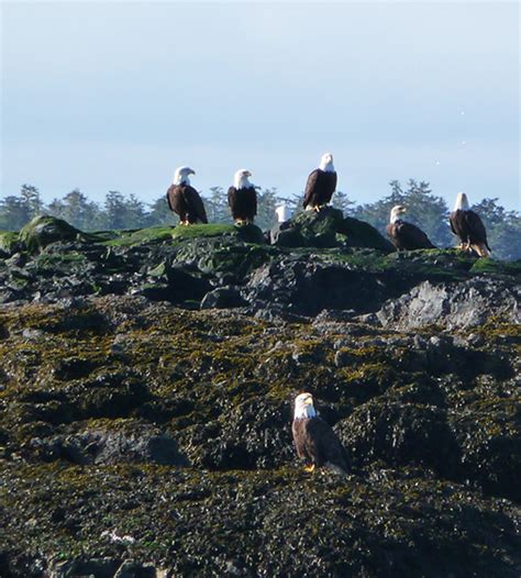 About Sitka Alaska | Sitka Fishing Charter | Sea Roamer Charters