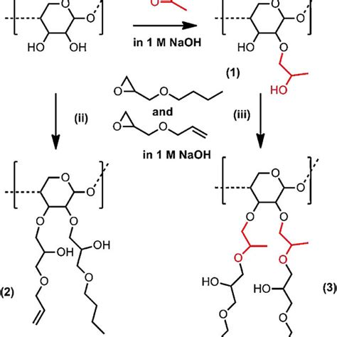 (PDF) Hydroxyalkylated xylans – Their synthesis and application in ...