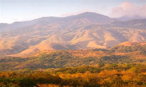 Why the dry tropical forest in Guanacaste, Costa Rica is so amazing | Enchanting Costa Rica