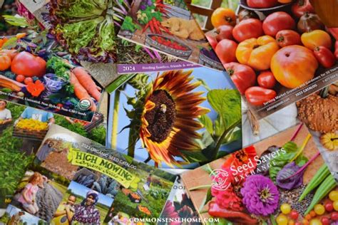 Best Heirloom Seeds - Recommended by Home Gardeners