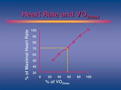 PPT - Overview and Basics of Exercise Physiology PowerPoint ...