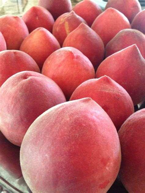 White peaches from my backyard