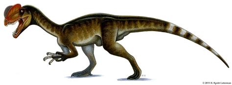 Dilophosaurus Pictures & Facts - The Dinosaur Database