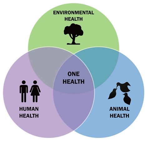 Approccio One Health: cos'è e perché è importante | L'EcoPost