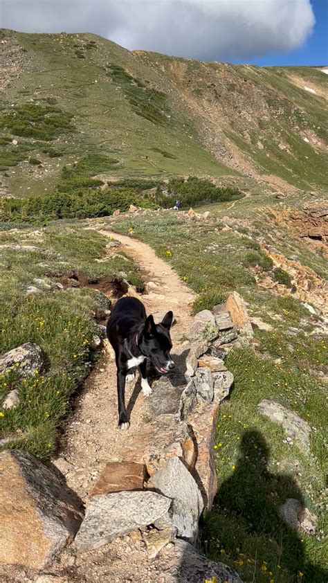 A beautiful day hiking Berthoud Pass in Colorado along the Continental ...