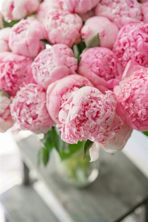 Lovely peonies in 2021 | Pink peonies bouquet, Pink peonies, Pretty flowers