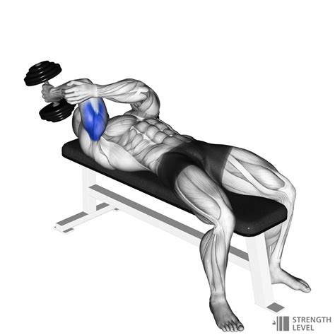 Lying Dumbbell Tricep Extension How To - Strength Level